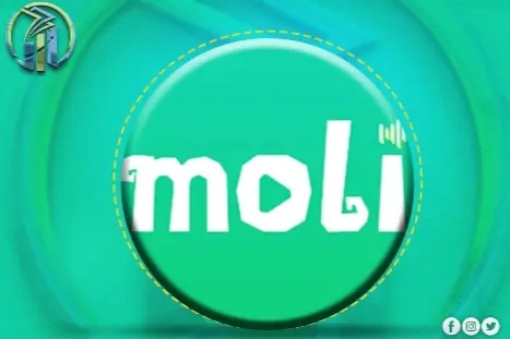 MOLI STAR